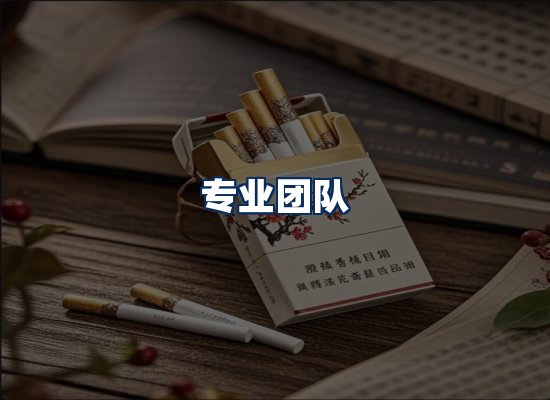 专业团队